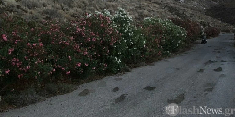 Δολοφονία βιολόγου: Φωτογραφίες από το σημείο όπου ο δράστης δολοφόνησε την 60χρονη